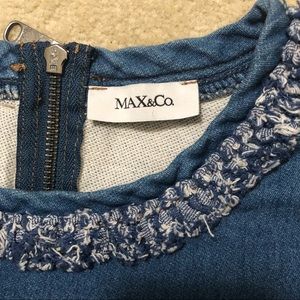 Max&co denim dress